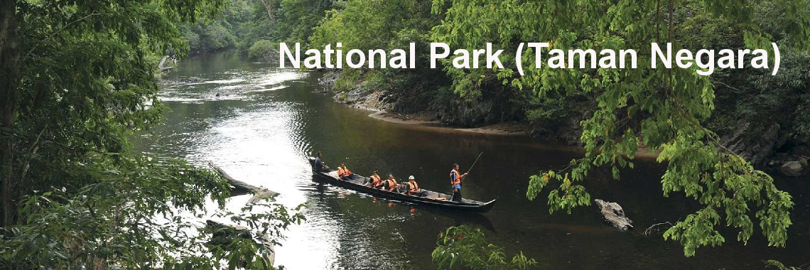 3D2N Full Board National Park (Taman Negara) Ex-KL